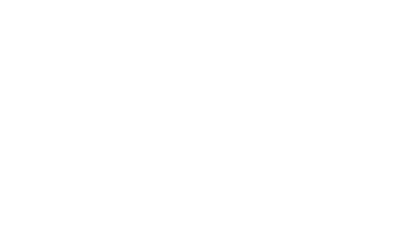 SEMAT 31