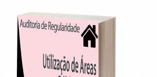 Utilização de Áreas Públicas para Atividades Econômicas