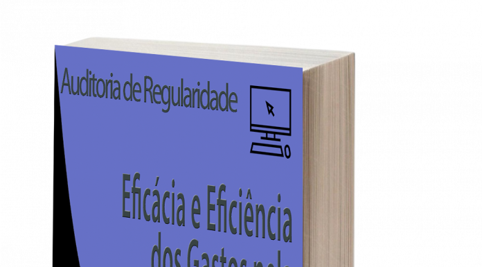 Eficácia e Eficiência dos Gastos pela Terracap com TIC