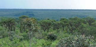 TCDF revela que mais de 90% das unidades de conservação do DF não têm regularização fundiária