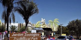 Jardim Zoológico: TCDF cobra solução para falhas no controle da bilheteria