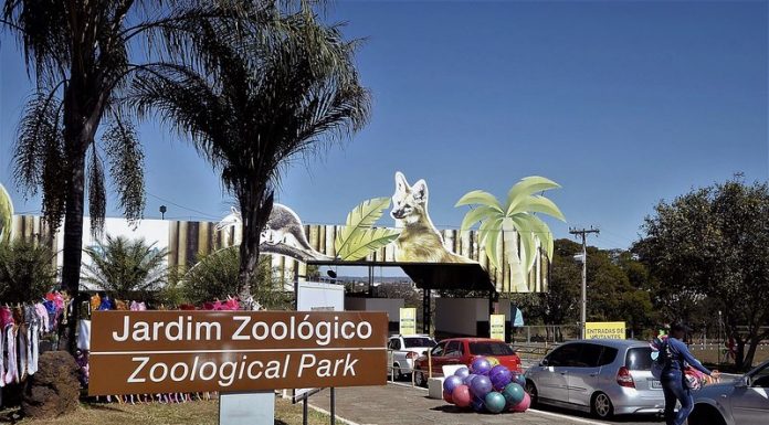 Jardim Zoológico: TCDF cobra solução para falhas no controle da bilheteria