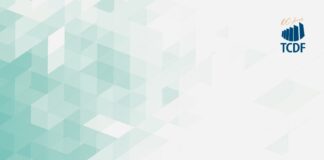 TCDF decide que Contas do Governo de 2019 estão aptas à aprovação com ressalvas