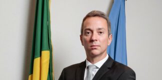 Auditor – Vinícius Fragoso