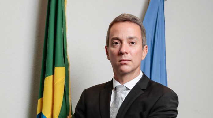 Auditor – Vinícius Fragoso