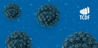 TCDF lança hotsite para o acompanhamento de gastos e ações de enfrentamento à pandemia