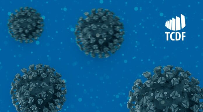 TCDF lança hotsite para o acompanhamento de gastos e ações de enfrentamento à pandemia