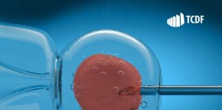 Tribunal de Contas apura possíveis irregularidades relacionadas ao serviço de Reprodução Humana Assistida no DF