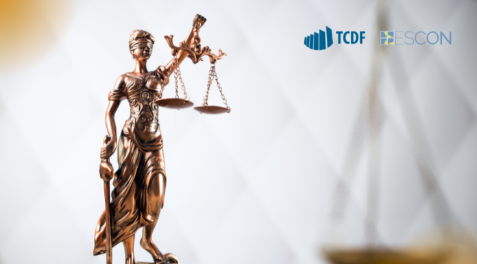 Seminário do TCDF para servidores do Distrito Federal vai abordar as inovações recentes no Direito Administrativo Brasileiro