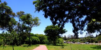 TCDF dá prazo para que Ibram explique falta de acessibilidade em parques de Brasília