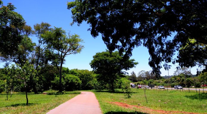 TCDF dá prazo para que Ibram explique falta de acessibilidade em parques de Brasília