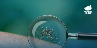 Epidemia de dengue: auditoria do TCDF alerta para número reduzido de agentes comunitários de saúde