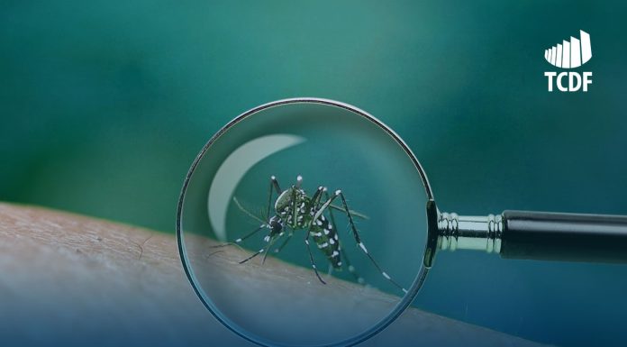 Epidemia de dengue: auditoria do TCDF alerta para número reduzido de agentes comunitários de saúde