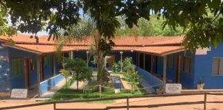 Inspeção do TCDF confirma mais irregularidades na organização Salve a Si