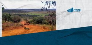 TCDF determina regularização da compensação florestal do Núcleo Rural do Tororó e paralisação de empreendimento imobiliário