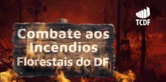 TCDF investiga falhas graves no Plano de Prevenção e Combate aos Incêndios Florestais do DF