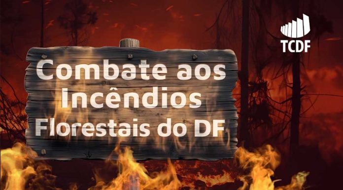 TCDF investiga falhas graves no Plano de Prevenção e Combate aos Incêndios Florestais do DF