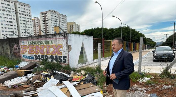 TCDF determina medidas urgentes para o combate à Dengue no Distrito Federal