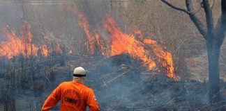 Tribunais de Contas debatem políticas ambientais em eventos on-line