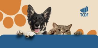 TCDF promove campanha de adoção responsável de animais resgatados