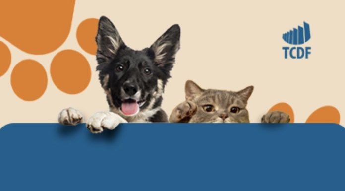 TCDF promove campanha de adoção responsável de animais resgatados