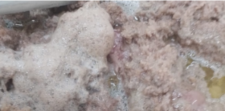 Decisão do TCDF: Secretaria de Educação terá de explicar carne com plástico e couro na merenda escolar