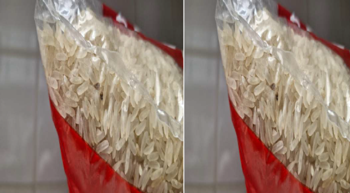 TCDF dá 10 dias para Secretaria de Educação explicar supostas falhas na conservação da merenda escolar e contaminação de arroz