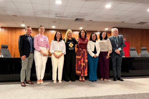 TCDF apresenta dados sobre violência infantojuvenil em seminário