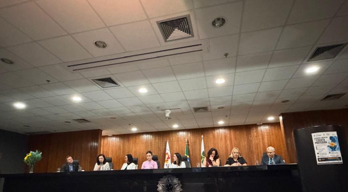 TCDF apresenta dados sobre violência infantojuvenil em seminário
